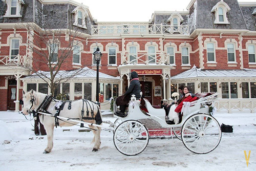 niagara on the lake horse carriage