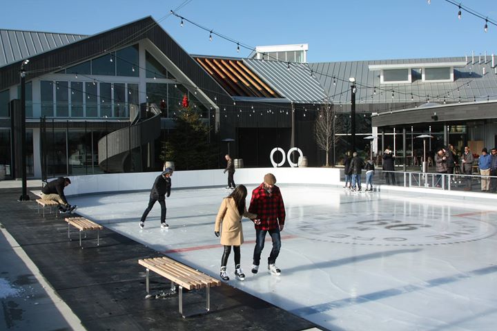 Wayne gretzky skating rink